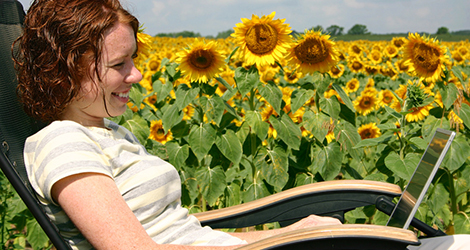 Working by the Sunflowers